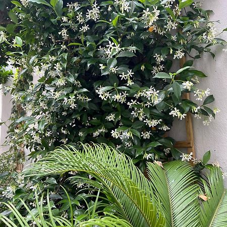 Maria'S Jasmine Apartment Волос Екстериор снимка