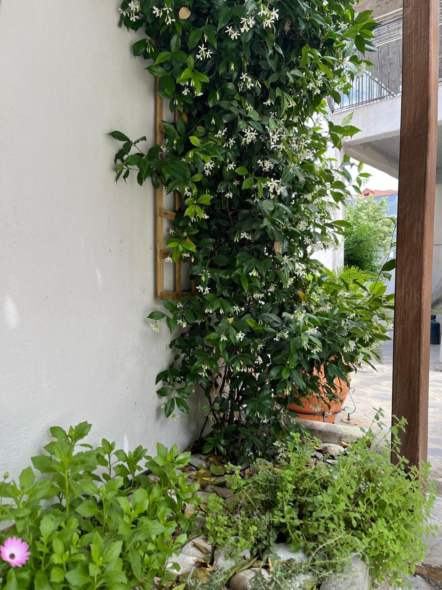 Maria'S Jasmine Apartment Волос Екстериор снимка